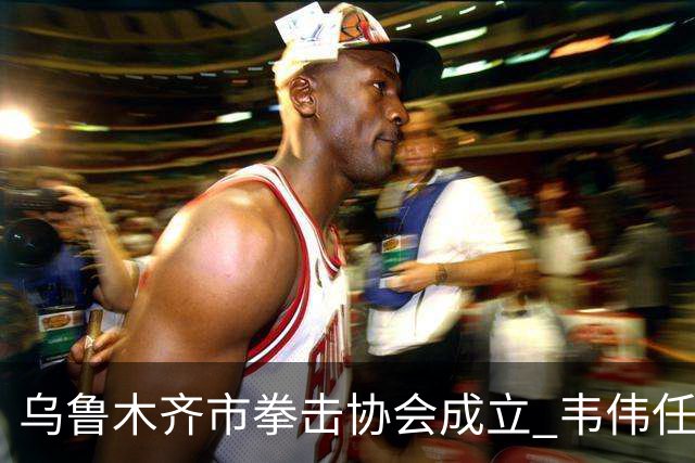 乌鲁木齐市拳击协会成立 韦伟任会长