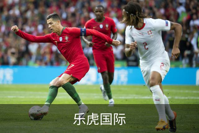 乐虎国际公司简介图片